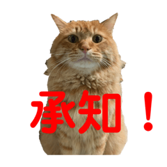 可愛いみゃーちゃんスタンプ第二弾