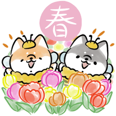 ほんわかしばいぬ<2023春>