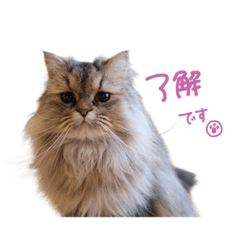 るなちまるスタンプ