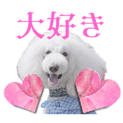 あさいりスタンプ1