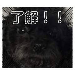 ポランレスタンプ