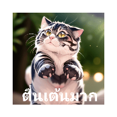 มานูลแมว