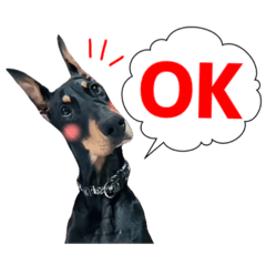 ドーベルマンエル★日常会話編