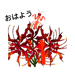 ヒガンバナこかまきりのスタンプ