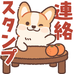 飛び出す！コギたんの連絡スタンプ