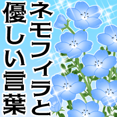 飛び出す▶ネモフィラとやさしい言葉の挨拶