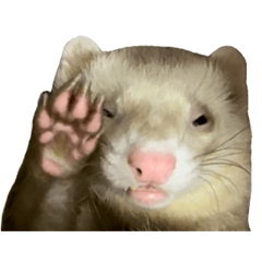 チーム和菓子スタンプ