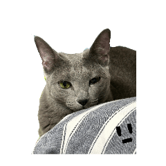 プリ！のスタンプ1