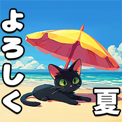碧眼黒猫の夏