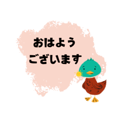 カモちゃんご挨拶スタンプ