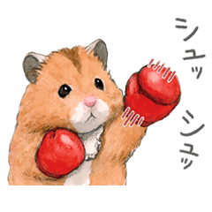 ハムスター助六の日常８