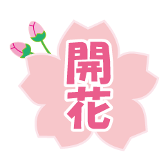 桜の季節に！見頃とお祝いスタンプ