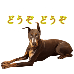 チョコタンカラードーベルマンスタンプ！