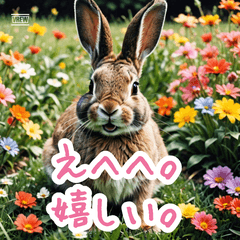 気持ちが顔に出ちゃうウサギ？