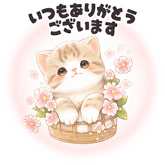 飛び出す❤️子猫日和