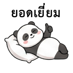 The Lazy and Brutally Honest Panda