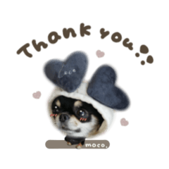 モコちゃん♡2mix