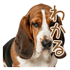 優しく寄り添う♪癒しのたれ耳犬