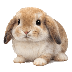 じっ…と見つめるどうぶつスタンプ