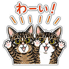 キジ白ねこ兄弟　にゃーごろ