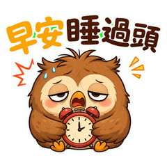 Overslept Owl Daily