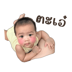 minivala