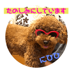 ウチの子スタンプMOPUN&LOVEと時々…大福②