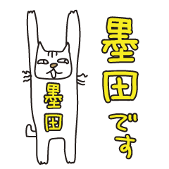ばんざい猫 墨田用