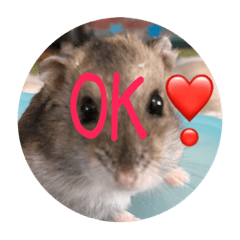 日常で使えるハムちゃんスタンプ1