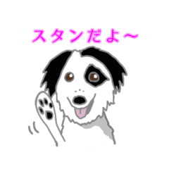 スタンカフェ 看板犬 スタンのスタンプです