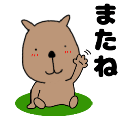 毎日使える カピバラのかぴちゃん