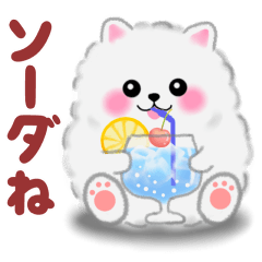 ポメラニアン ぽちゃん「だじゃれ」