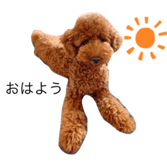 もっぴぃスタンプ