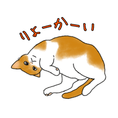 ねこ×ねこお返事Part1