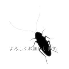 優しめなゴキブリ