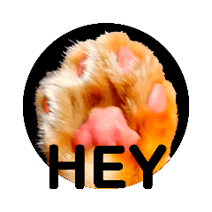 ミーさんとマーさん 7