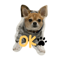 ちびりあのスタンプ