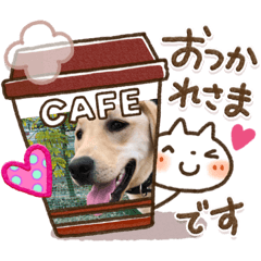 ラブラドールのそら　パートわん