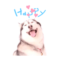 てんてんファミリー