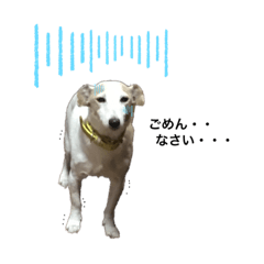 ジャックラッセル なな気持ち