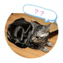 ゆずくんスタンプ 01