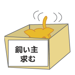 飼い主募集ネコ