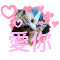 Kelly_20200617205256