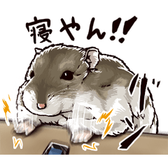 ハムスターの銀次２