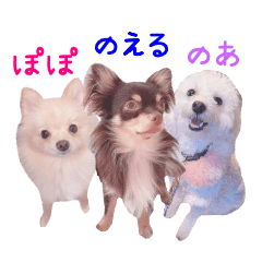 のえる&のあ&ぽぽ