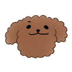 タレ目のトイプーの日常