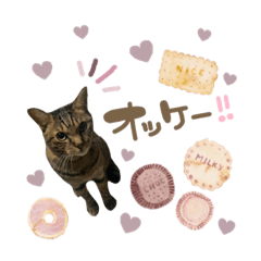 我が家のにゃんず^._.^