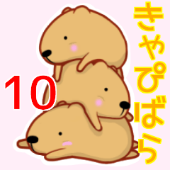 きゃぴばら１０