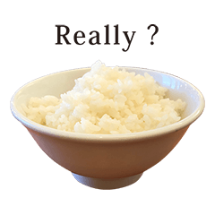 白ごはん　と　英語　English