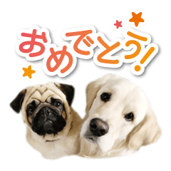 わんダーランド2